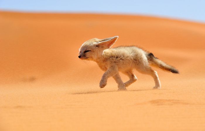 2013 National Geographic Traveler Photo Contest (42 pics)