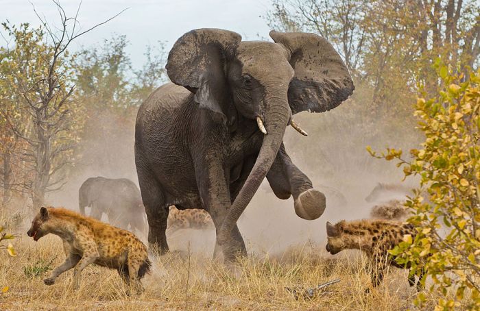 2013 National Geographic Traveler Photo Contest (42 pics)