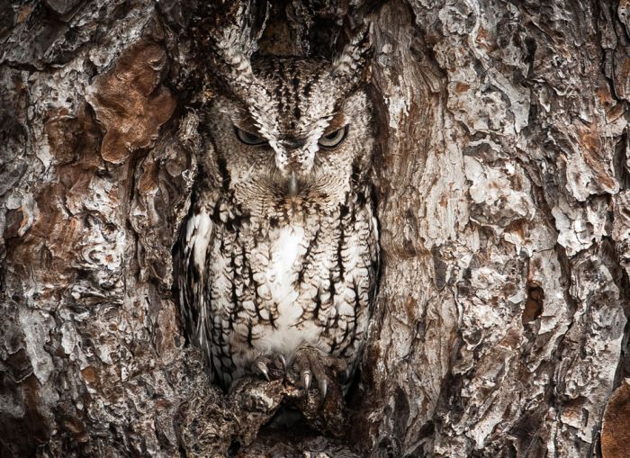 2013 National Geographic Traveler Photo Contest (42 pics)
