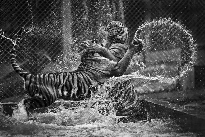 2013 National Geographic Traveler Photo Contest (42 pics)