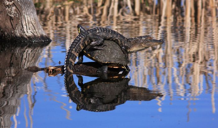 2013 National Geographic Traveler Photo Contest (42 pics)