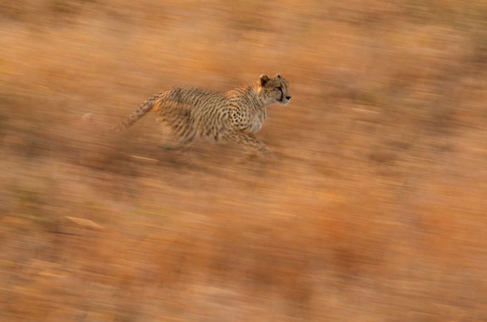 2013 National Geographic Traveler Photo Contest (42 pics)