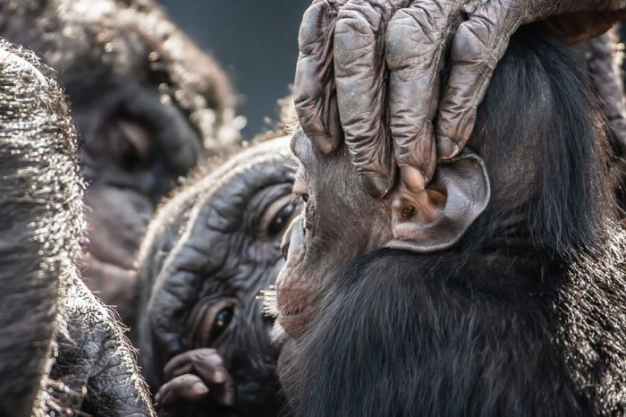 2013 National Geographic Traveler Photo Contest (42 pics)