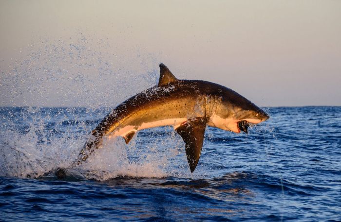 2013 National Geographic Traveler Photo Contest (42 pics)
