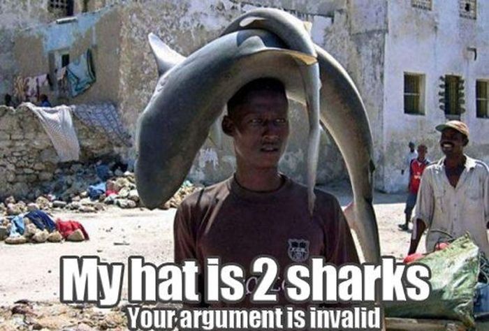 Your Argument is Invalid (35 pics)