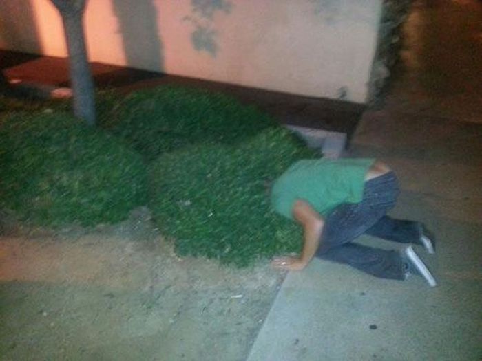 Drunk People. Part 7 (70 pics)