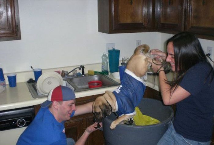 Drunk People. Part 7 (70 pics)