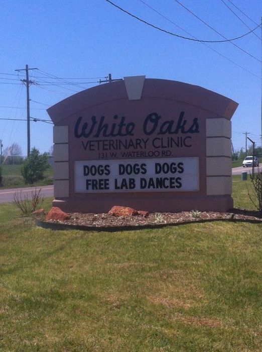 WTF Signs. Part 33 (30 pics)