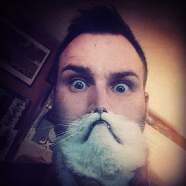 Cat Beards (25 pics)