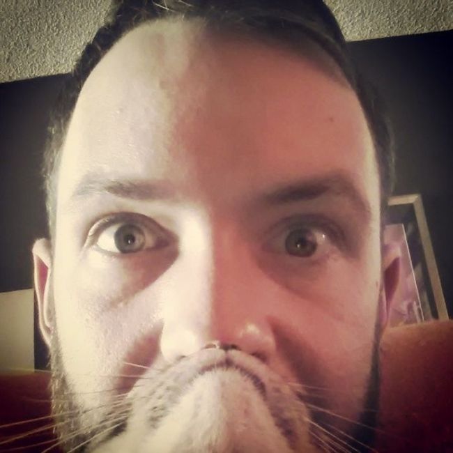 Cat Beards (25 pics)