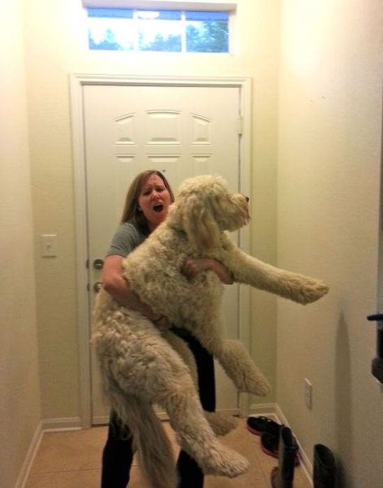 Acid Picdump. Part 2 (119 pics)