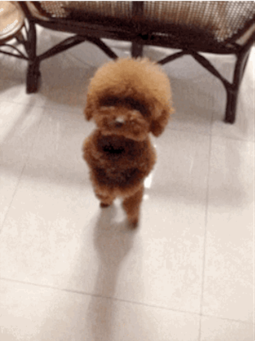 Going Out: Expectation Vs. Reality (43 gifs)