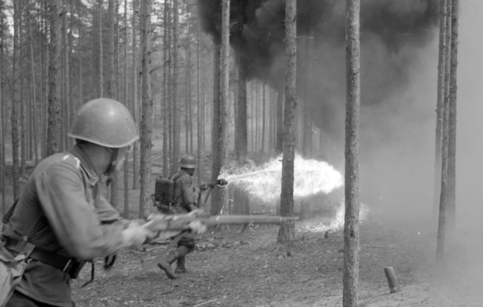 Finland in World War II (49 pics)