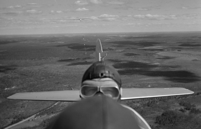 Finland in World War II (49 pics)