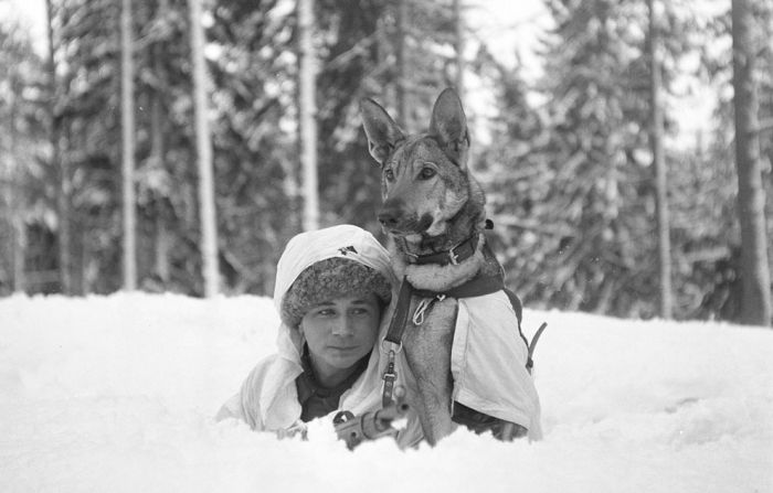 Finland in World War II (49 pics)