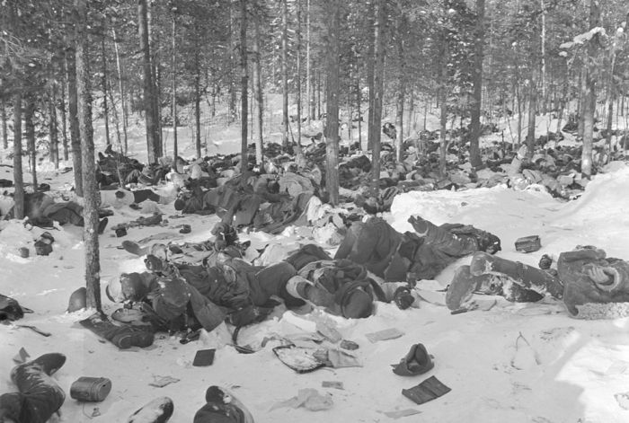 Finland in World War II (49 pics)