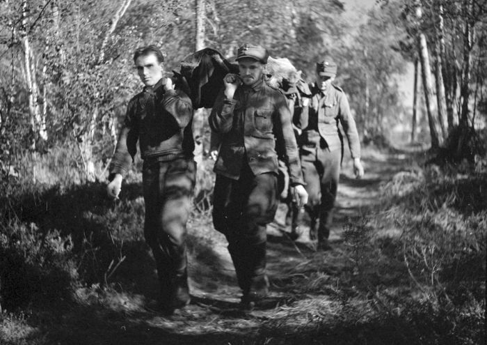 Finland in World War II (49 pics)