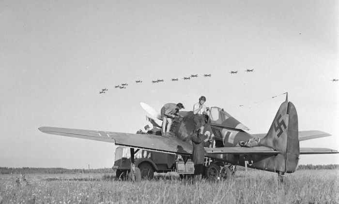 Finland in World War II (49 pics)