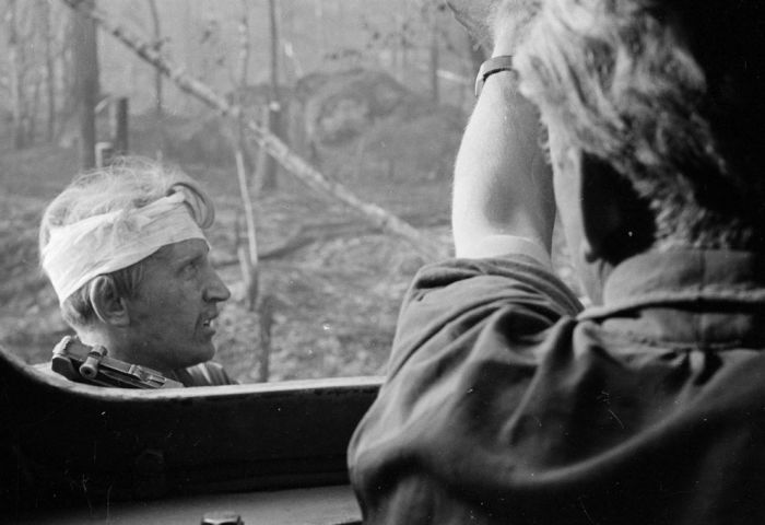 Finland in World War II (49 pics)