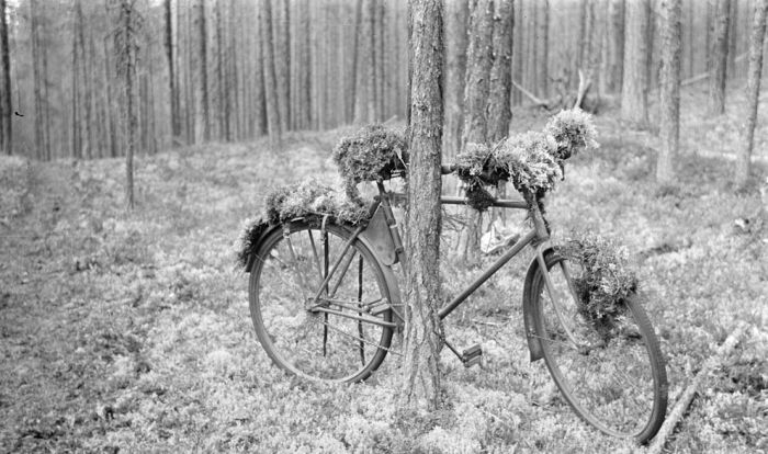 Finland in World War II (49 pics)