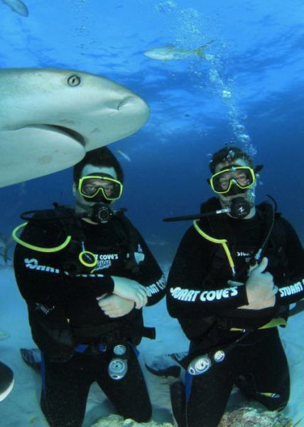 Photobombs. Part 31 (42 pics)