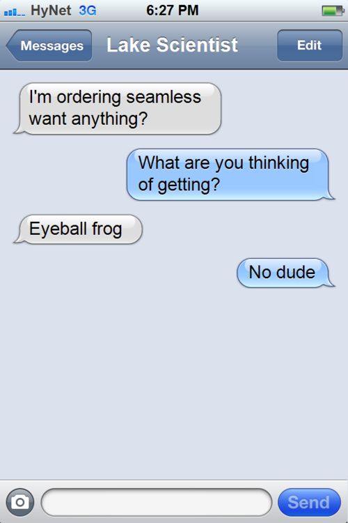 Texts From Zelda (10 pics)