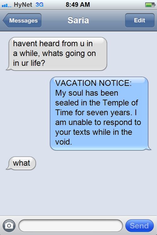 Texts From Zelda (10 pics)