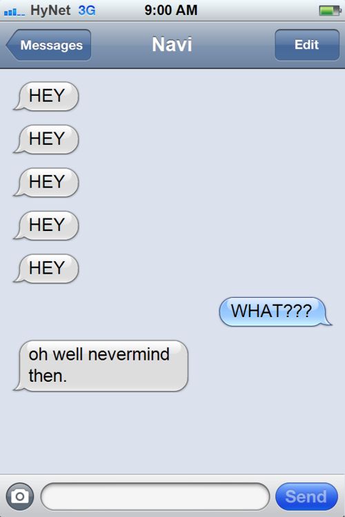 Texts From Zelda (10 pics)