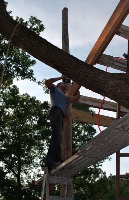 Beautiful Treehouse (24 pics)
