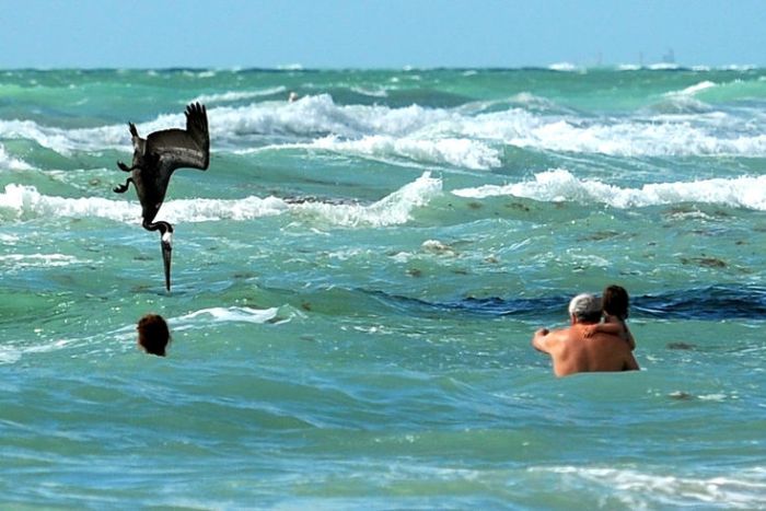 Acid Picdump (163 pics)