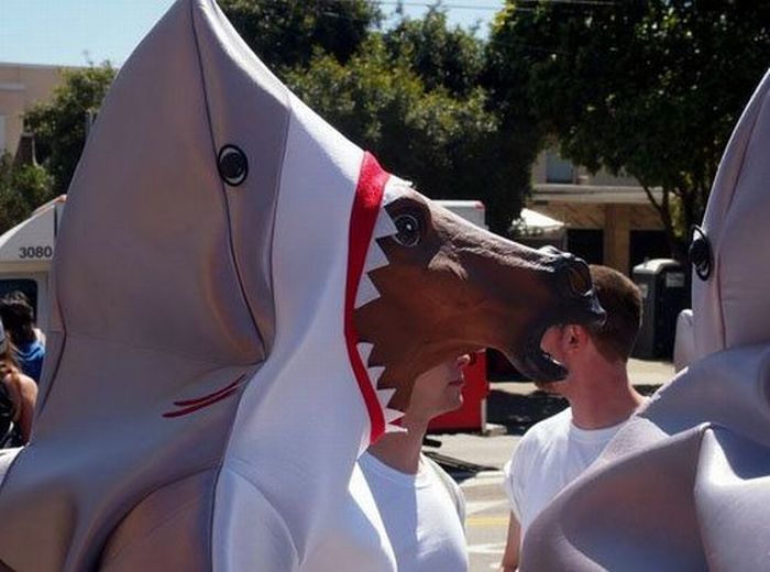 Acid Picdump (163 pics)
