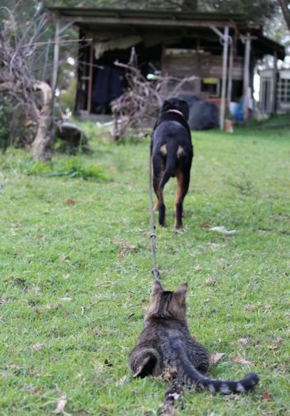 Acid Picdump (163 pics) Acid Picdump (163 pics)