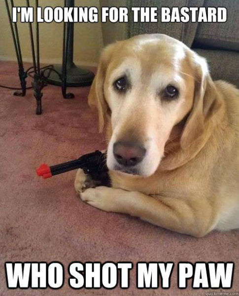 Acid Picdump (163 pics)