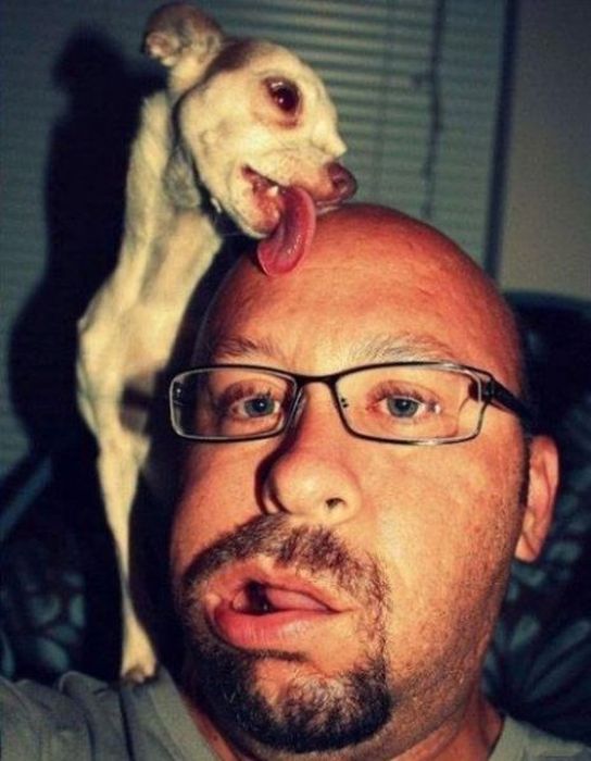 Acid Picdump (163 pics)