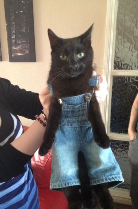 Acid Picdump (163 pics) Acid Picdump (163 pics)