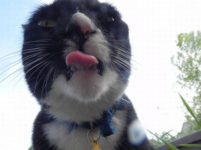 Acid Picdump (163 pics)