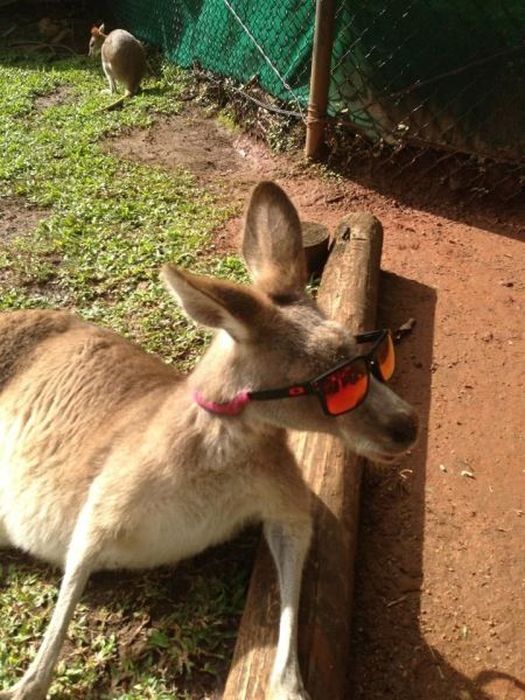 Acid Picdump (163 pics)