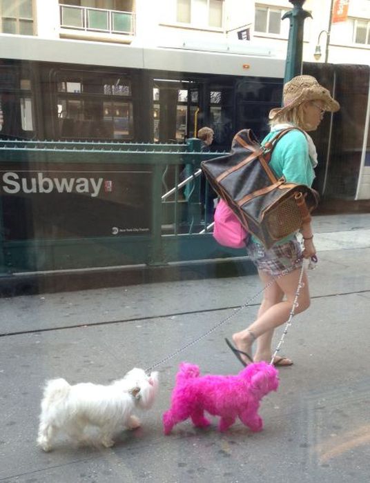 Acid Picdump (163 pics)