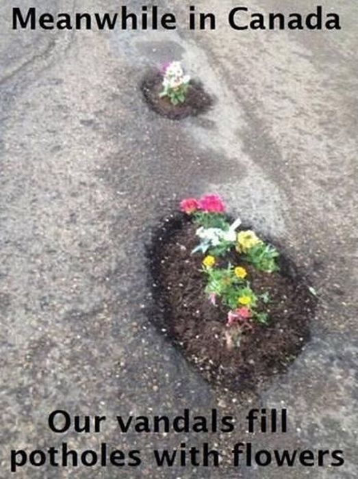 Acid Picdump (163 pics)