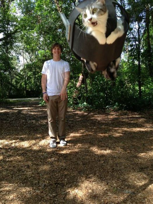 Acid Picdump (163 pics)