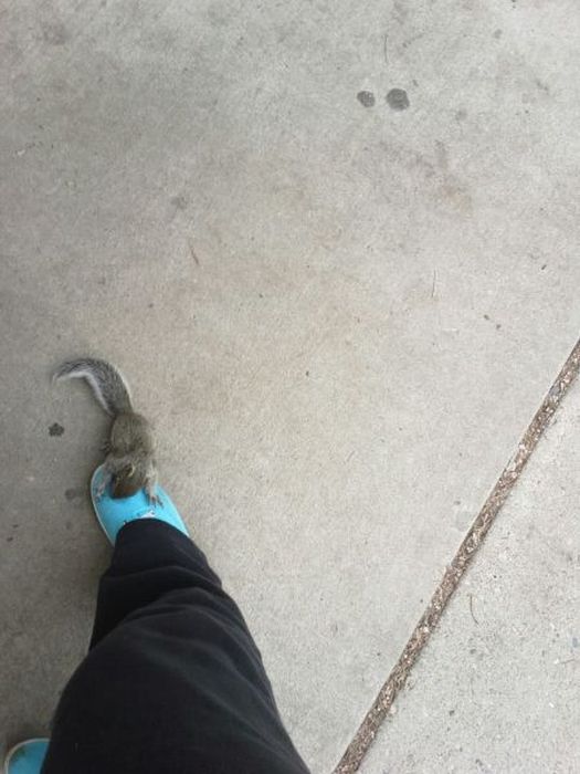 Acid Picdump (163 pics)