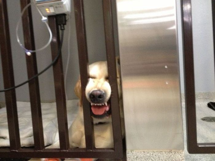 Acid Picdump (163 pics)