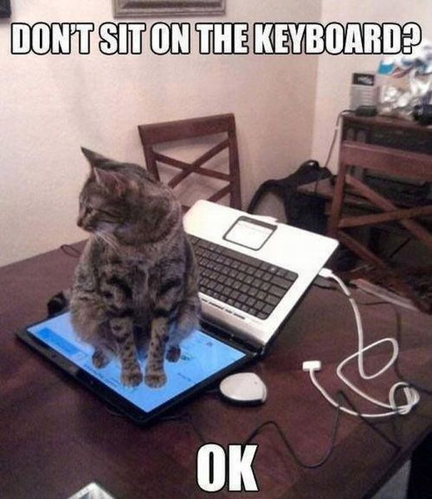 Acid Picdump (163 pics)