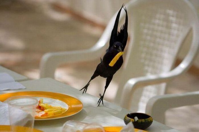 Acid Picdump (163 pics) Acid Picdump (163 pics)