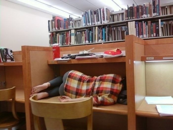 Finishing Your Exams, Expectation Vs. Reality (23 pics) Finishing Your Exams, Expectation Vs. Reality (23 pics)