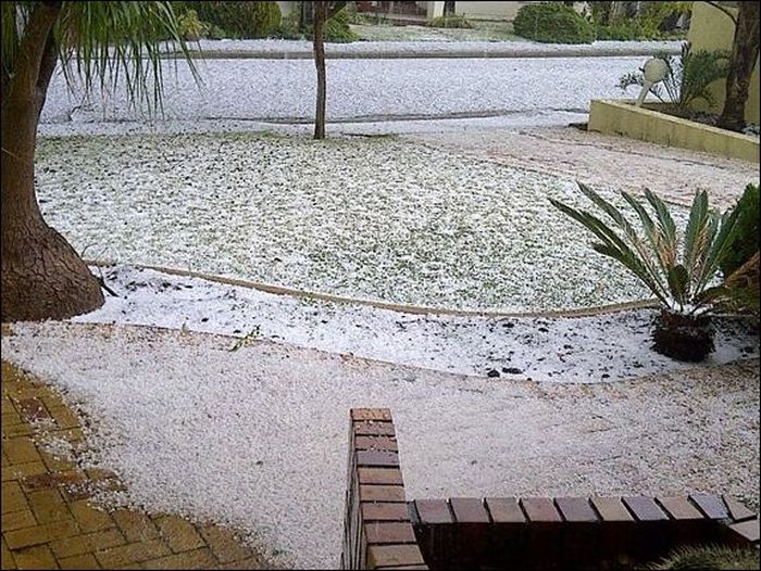 Snow in Cape Town (11 pics)