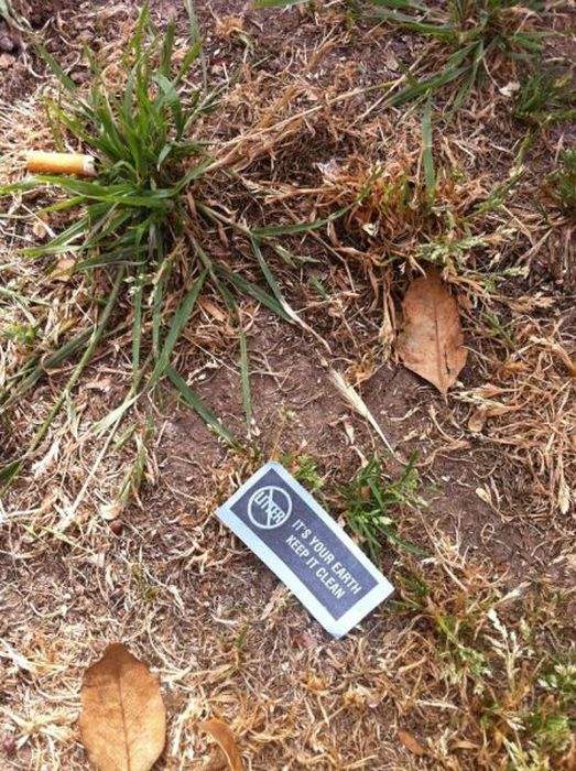 Pictures with Irony. Part 4 (43 pics)