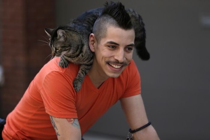 Cyclist and His Cat (21 pics)