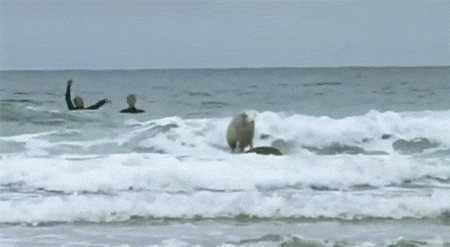 Acid Gifdump, June 05, 2013 (25 gifs)