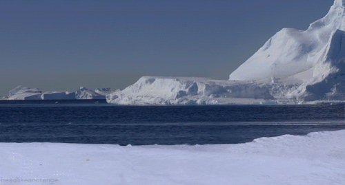 Acid Gifdump, June 05, 2013 (25 gifs)
